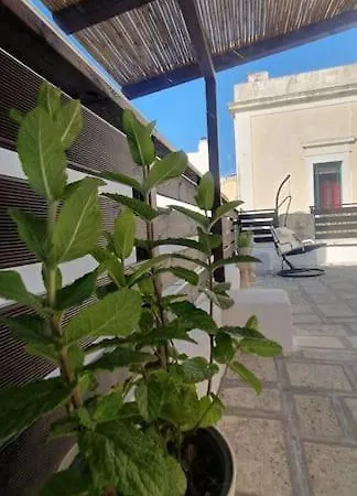 La Stella Marina Matino