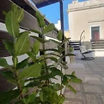 La Stella Marina Matino